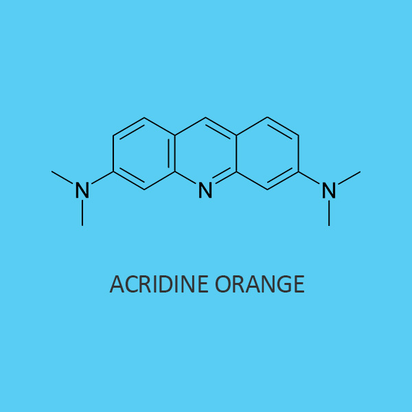 Acridine Orange M S