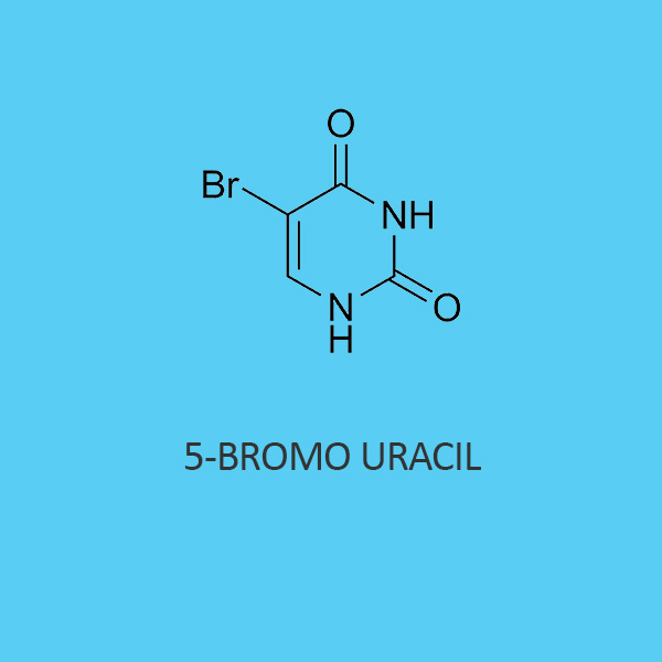 5 Bromo Uracil