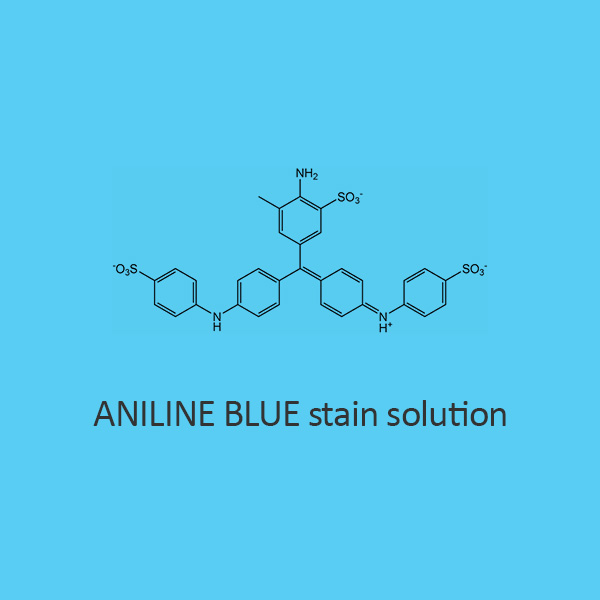Aniline Blue Stain Solution