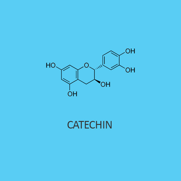 Catechin Hydrate