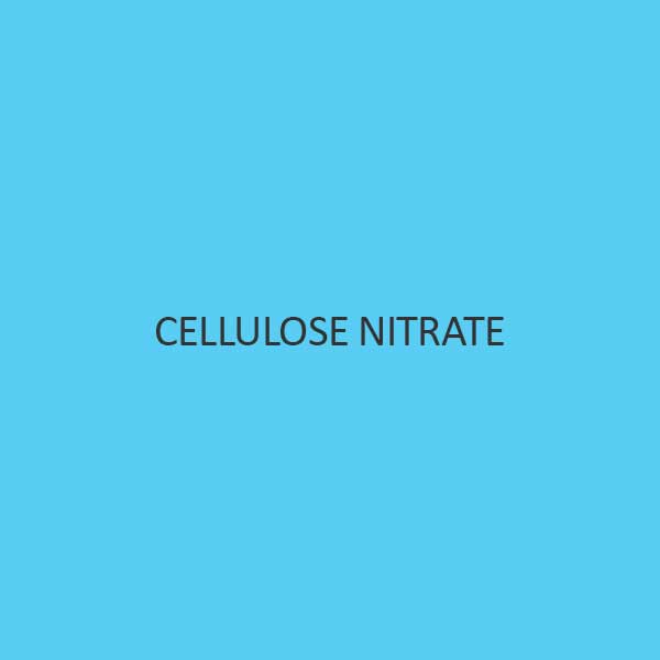 Cellulose Nitrate