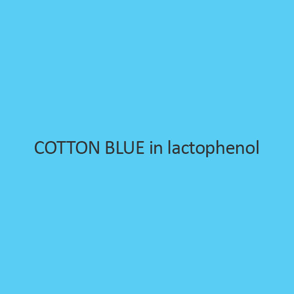 Cotton Blue In Lactophenol