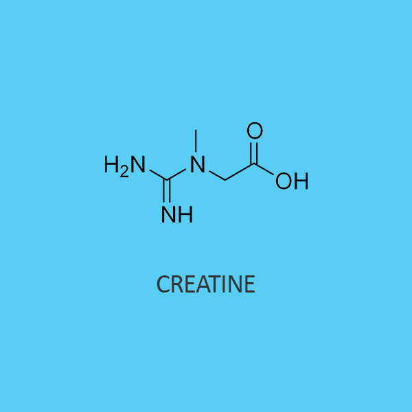Creatine (monohydrate)