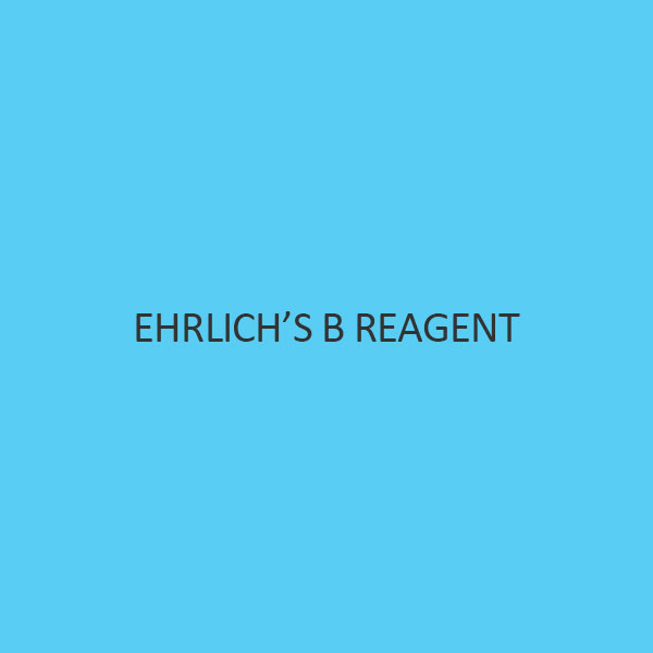 EhrlichS B Reagent Liquid