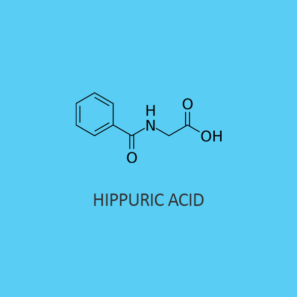 Hippuric Acid (Crystals)