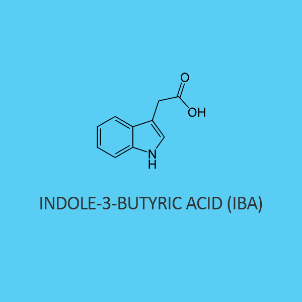 Indole 3 Butyric Acid (Iba) (For Biochemistry)