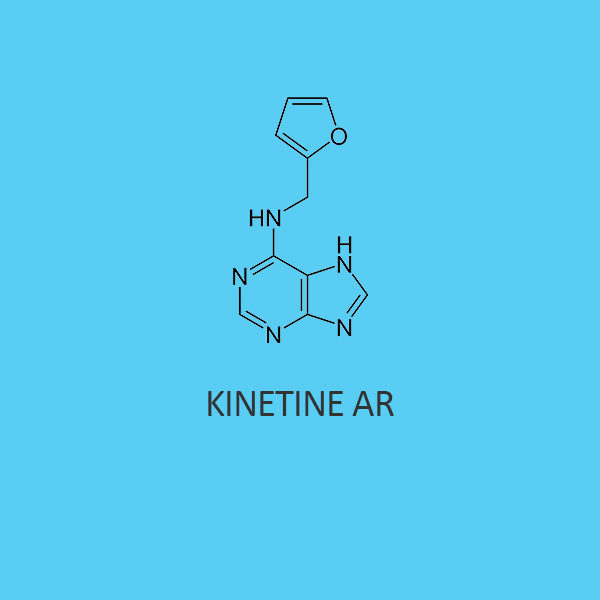 Kinetine AR