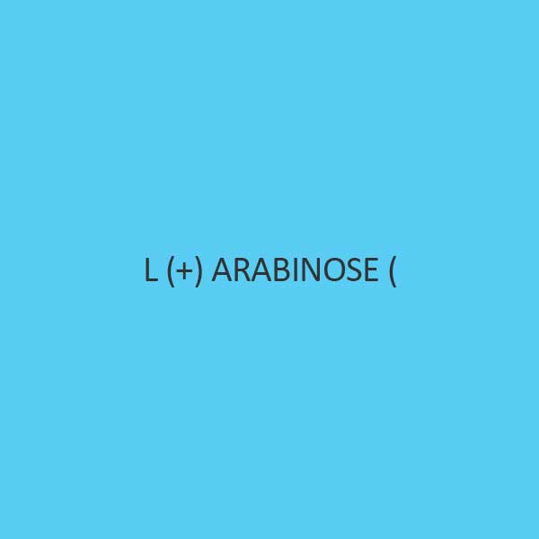 L + Arabinose