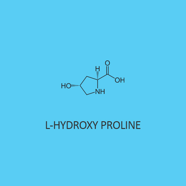 L Hydroxy Proline