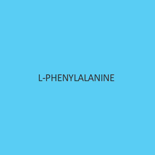 L Phenylalanine