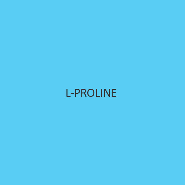 L Proline