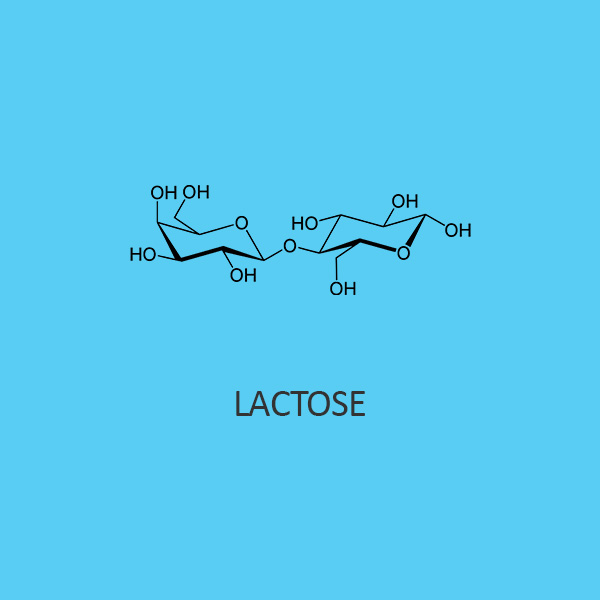 Buy Lactose Extra Pure 40 Discount Ibuychemikals In India