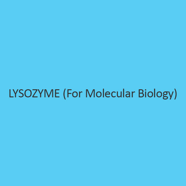 Lysozyme (For Molecular Biology)