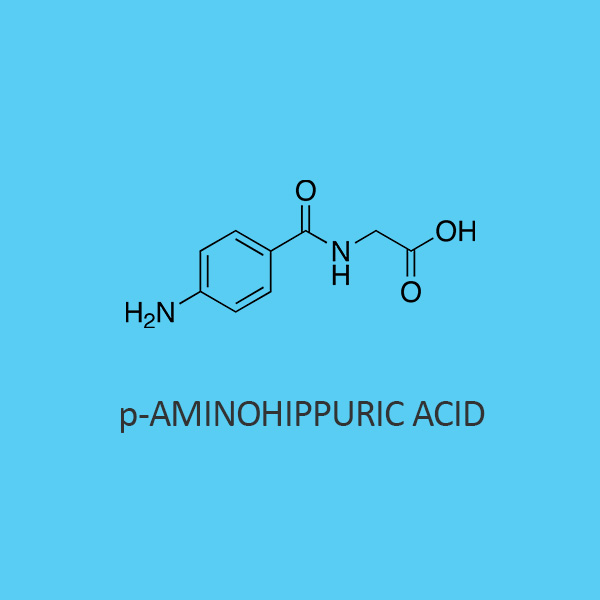 p Aminohippuric Acid