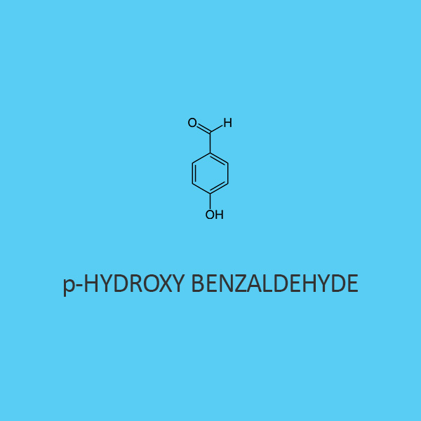 P Hydroxy Benzaldehyde