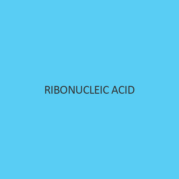 Ribonucleic Acid