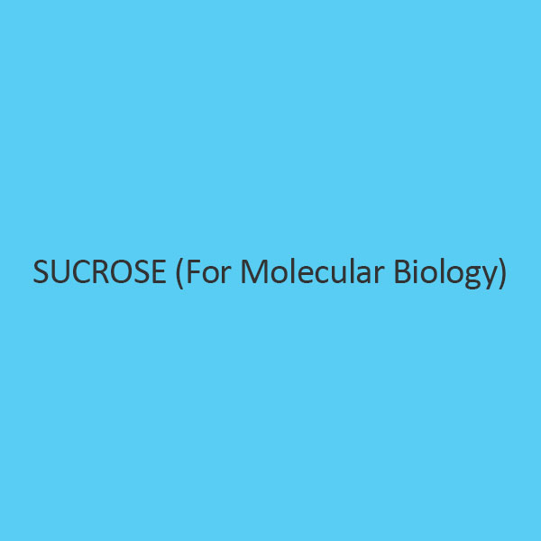 Sucrose (For Molecular Biology)