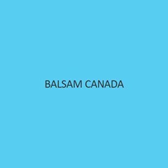 Balsam Canada Colourless