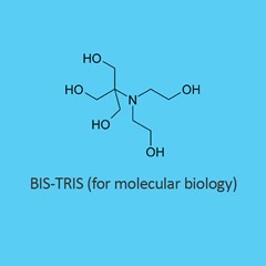 Bis Tris For Molecular Biology