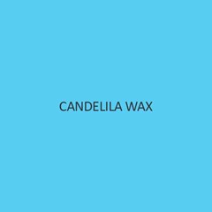 Candelila Wax