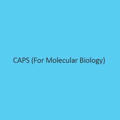 Caps For Molecular Biology