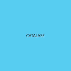 Catalase