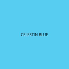 Celestin Blue MS