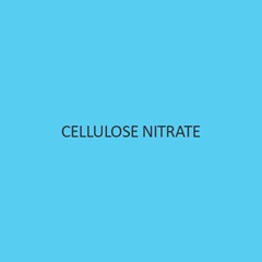 Cellulose Nitrate