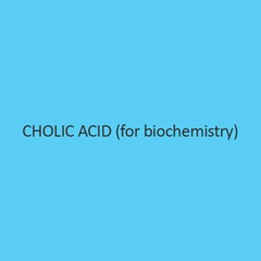 Cholic Acid For Biochemistry