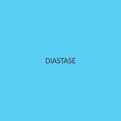 Diastase (A Amylase) (Fungal Diastase)