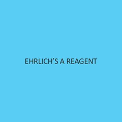 EhrlichS A Reagent Liquid