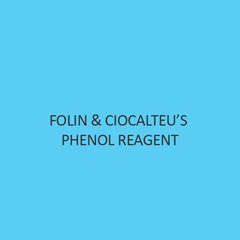 Folin & Ciocalteu’S Phenol Reagent