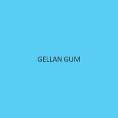 Gellan Gum Extra Pure