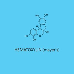 Hematoxylin (Mayer S) Staining Solution