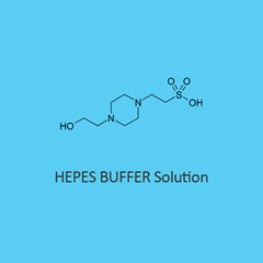 Hepes Buffer Solution