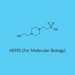 Hepes (For Molecular Biology)
