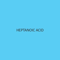 Heptanoic Acid (Enanthic Acid)