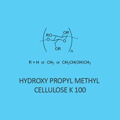 Hydroxy Propyl Methyl Cellulose K 100 (Hpmc)