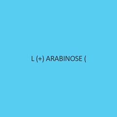 L + Arabinose