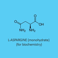L Aspargine Monohydrate for biochemistry