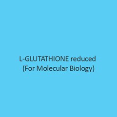 L Glutathione Reduced (For Molecular Biology)