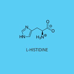 L Histidine