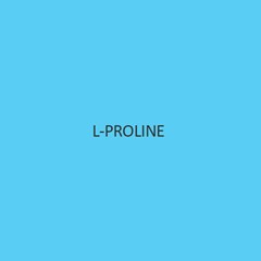 L Proline