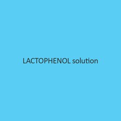 Lactophenol Solution (For Microscopy)