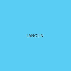 Lanolin (Anhydrous) (Wool Fat)