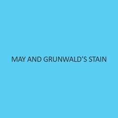 May And Grunwald's Stain