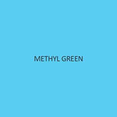 Methyl Green Stain Solution