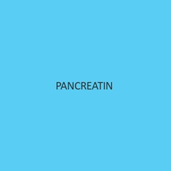 Pancreatin (From Pig Pancreas)