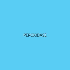 Peroxidase (From Horse Raddish)