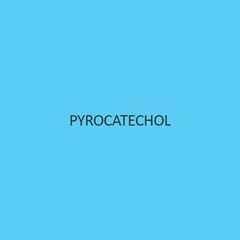 Pyrocatechol (Catechol)